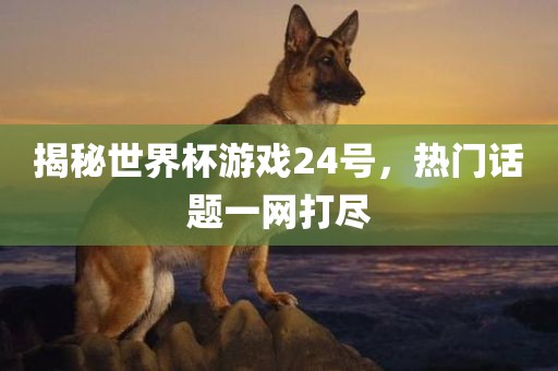 揭秘世界杯游戏24号，热门话题一网打尽