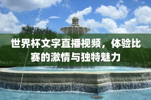 世界杯文字直播视频，体验比赛的激情与独特魅力