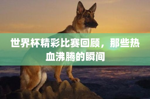 世界杯精彩比赛回顾，那些热血沸腾的瞬间