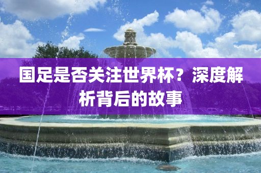 国足是否关注世界杯？深度解析背后的故事