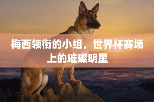 梅西领衔的小组，世界杯赛场上的璀璨明星