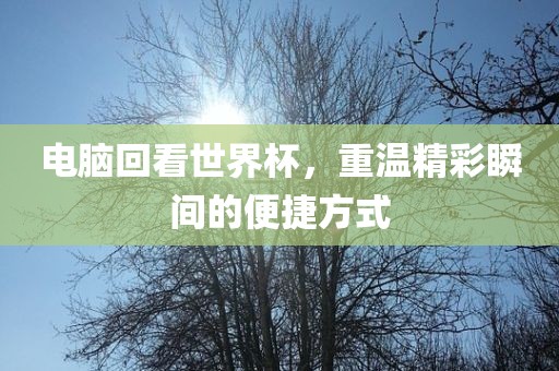 电脑回看世界杯，重温精彩瞬间的便捷方式