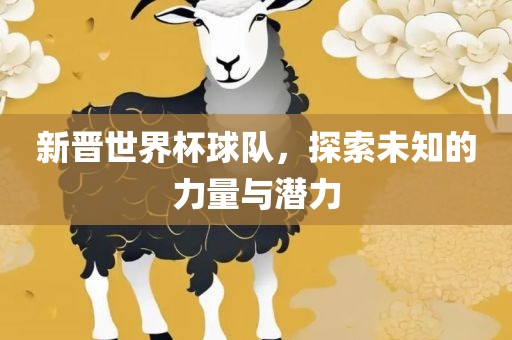 新晋世界杯球队，探索未知的力量与潜力