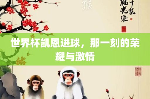 世界杯凯恩进球，那一刻的荣耀与激情