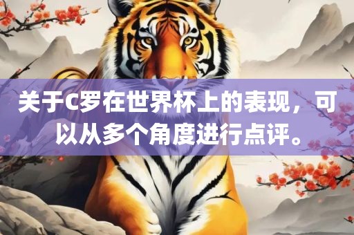 关于C罗在世界杯上的表现,可以从多个角度进行点评。