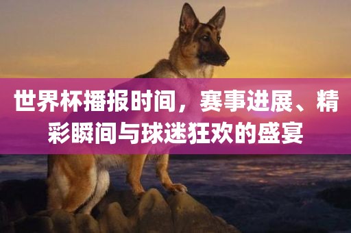 世界杯播报时间，赛事进展、精彩瞬间与球迷狂欢的盛宴