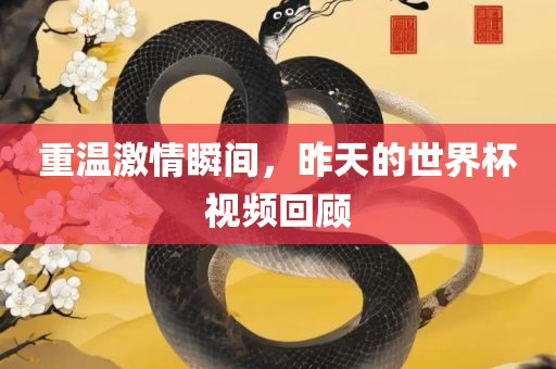 重温激情瞬间，昨天的世界杯视频回顾