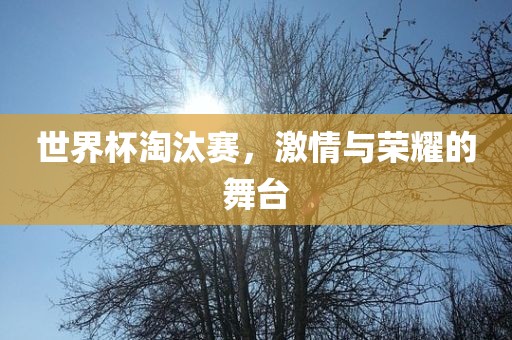 世界杯淘汰赛，激情与荣耀的舞台