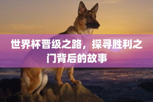 世界杯晋级之路，探寻胜利之门背后的故事