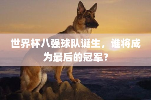 世界杯八强球队诞生，谁将成为最后的冠军？