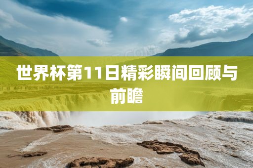 世界杯第11日精彩瞬间回顾与前瞻