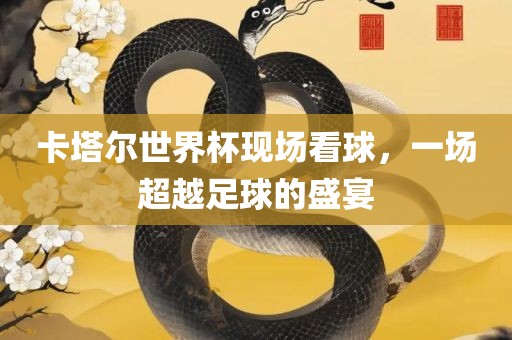 卡塔尔世界杯现场看球，一场超越足球的盛宴