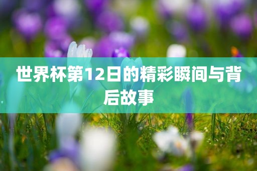 世界杯第12日的精彩瞬间与背后故事