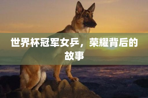 世界杯冠军女乒，荣耀背后的故事
