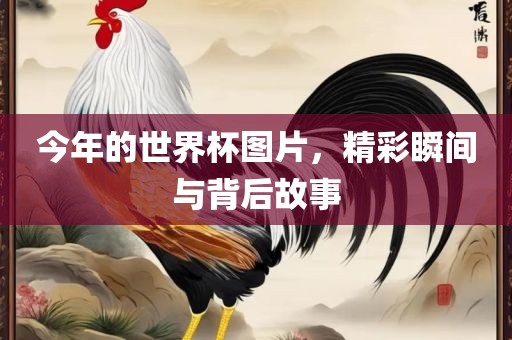 今年的世界杯图片，精彩瞬间与背后故事