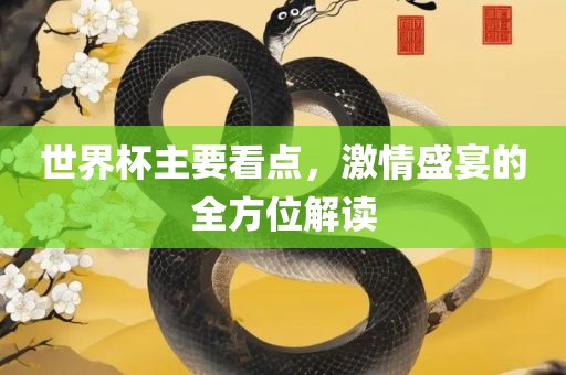 世界杯主要看点，激情盛宴的全方位解读