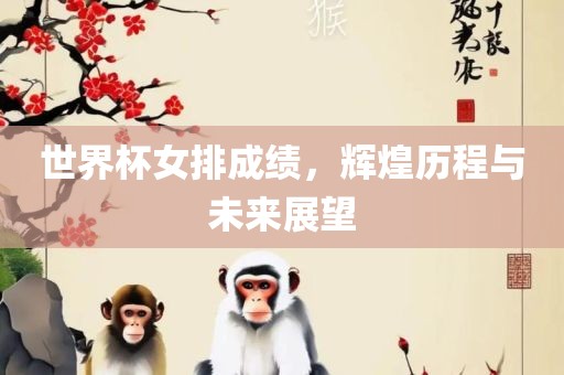 世界杯女排成绩，辉煌历程与未来展望