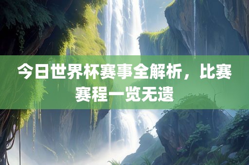 今日世界杯赛事全解析，比赛赛程一览无遗