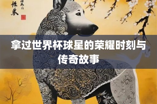 拿过世界杯球星的荣耀时刻与传奇故事