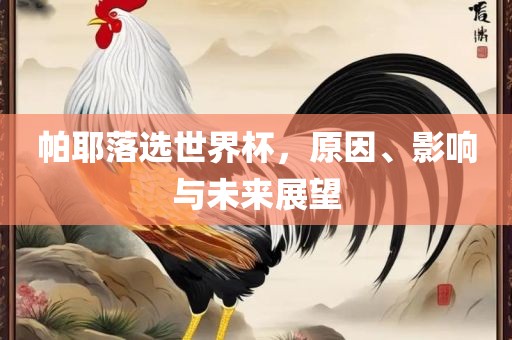 帕耶落选世界杯，原因、影响与未来展望
