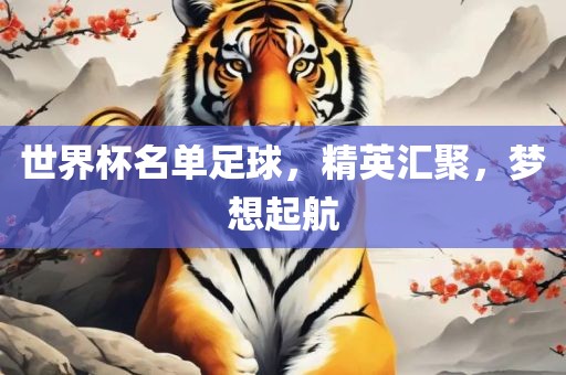 世界杯名单足球，精英汇聚，梦想起航