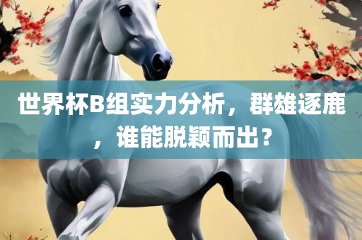 世界杯B组实力分析，群雄逐鹿，谁能脱颖而出？