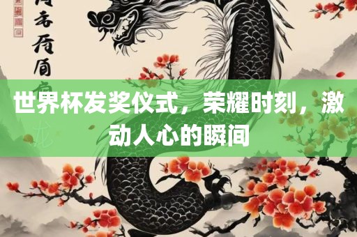 世界杯发奖仪式，荣耀时刻，激动人心的瞬间