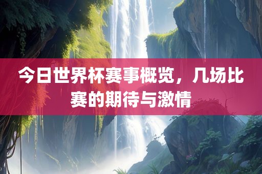 今日世界杯赛事概览，几场比赛的期待与激情