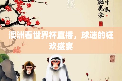 澳洲看世界杯直播，球迷的狂欢盛宴