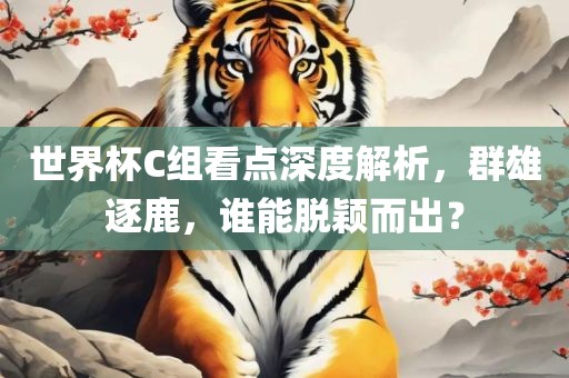 世界杯C组看点深度解析，群雄逐鹿，谁能脱颖而出？