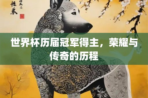 世界杯历届冠军得主，荣耀与传奇的历程