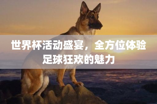 世界杯活动盛宴,全方位体验足球狂欢的魅力