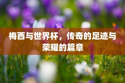 梅西与世界杯，传奇的足迹与荣耀的篇章