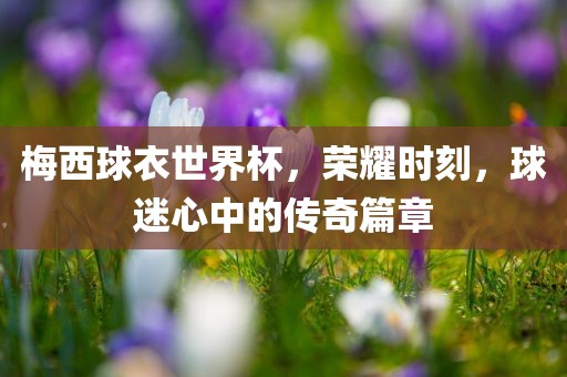 梅西球衣世界杯,荣耀时刻,球迷心中的传奇篇章