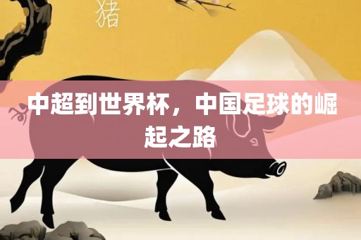 中超到世界杯，中国足球的崛起之路
