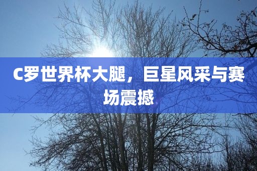 C罗世界杯大腿,巨星风采与赛场震撼