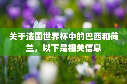 关于法国世界杯中的巴西和荷兰，以下是相关信息