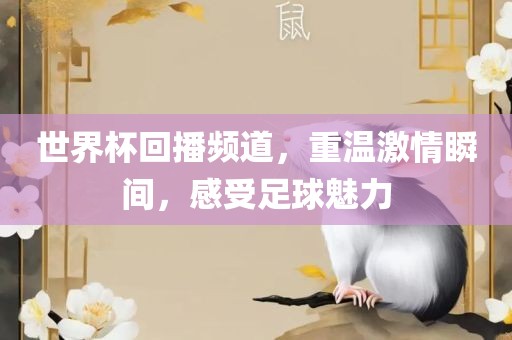 世界杯回播频道，重温激情瞬间，感受足球魅力