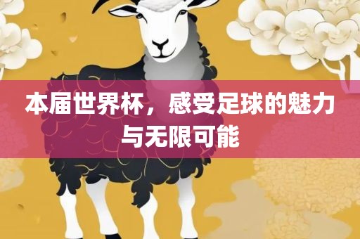 本届世界杯，感受足球的魅力与无限可能