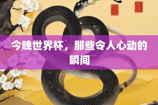 今晚世界杯，那些令人心动的瞬间