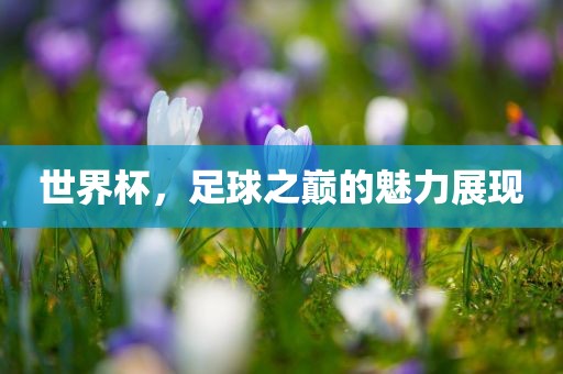 世界杯，足球之巅的魅力展现
