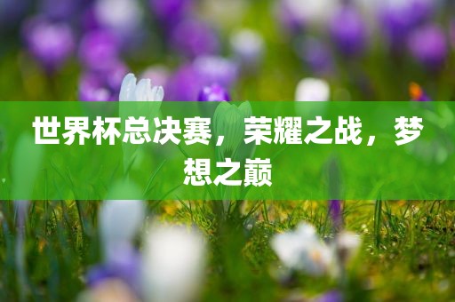 世界杯总决赛，荣耀之战，梦想之巅