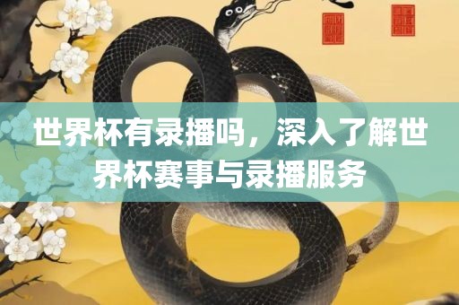 世界杯有录播吗，深入了解世界杯赛事与录播服务