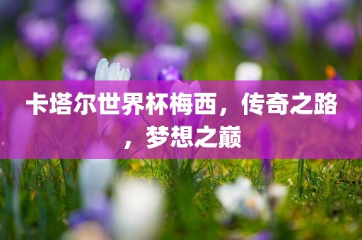 卡塔尔世界杯梅西，传奇之路，梦想之巅