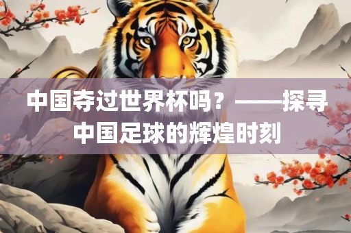 中国夺过世界杯吗？——探寻中国足球的辉煌时刻
