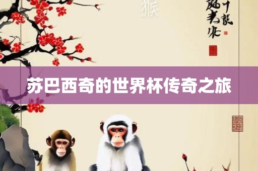 苏巴西奇的世界杯传奇之旅