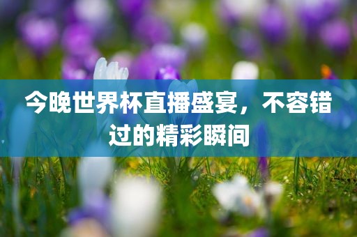 今晚世界杯直播盛宴，不容错过的精彩瞬间