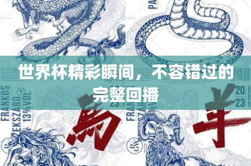 世界杯精彩瞬间，不容错过的完整回播