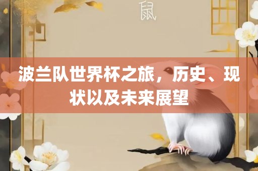 波兰队世界杯之旅，历史、现状以及未来展望