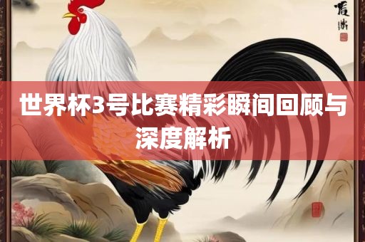 世界杯3号比赛精彩瞬间回顾与深度解析